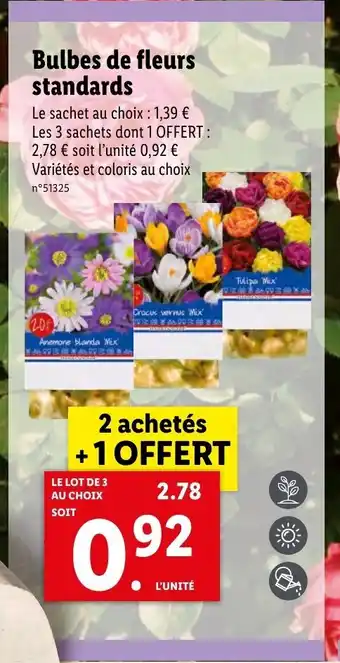 Lidl Bulbes De Fleurs Standards offre