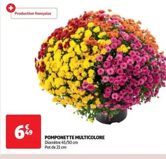 Auchan Supermarché POMPONETTE MULTICOLORE offre