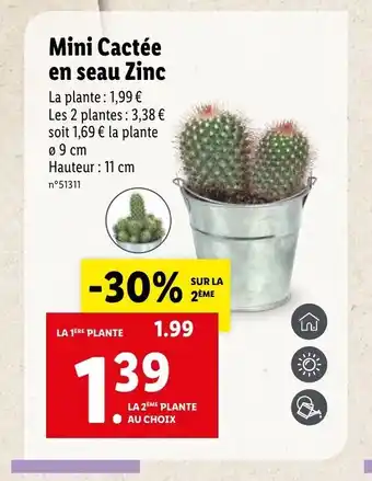 Lidl Mini Cactée En Seau Zinc offre