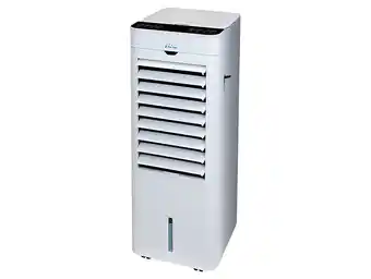 Bricorama Rafraichisseur d'air par évaporation à débit élevé et chauffage offre