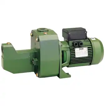Bricorama Pompe de surface bicellulaires auto-amorçante 1.1kw mono - jet 151m offre