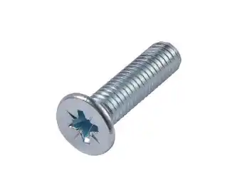 Brico Dépôt Brenner boite de 2 kg de vis mécaniques tête fraisée plate 4 x 15 mm acier au carbone (classe 4,8) offre