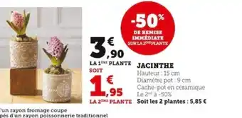 Super U JACINTHE offre