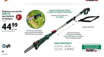 élagueuse sue perche sans fil sans batterie ni chargeur