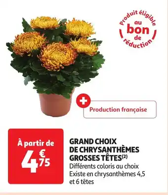 Auchan GRAND CHOIX DE CHRYSANTHÈMES GROSSES TÊTES(²) offre