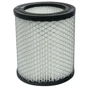 Bricorama Cartouche filtre pour aspirateur à cendres werkapro offre