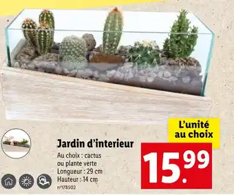 Lidl Jardin d’interieur offre