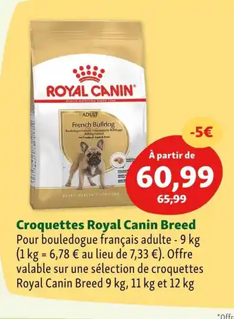 Maxi Zoo Royal canin croquettes breed offre