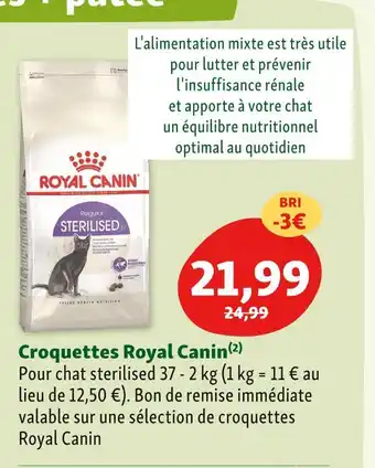 Maxi Zoo Royal canin croquettes offre