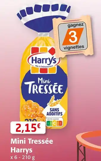Harrys mini tressée