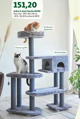Maxi Zoo Arbre à chat charlie more offre