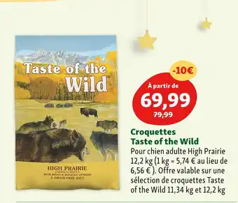 Maxi Zoo Taste of the wild croquettes offre