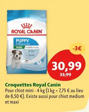 Maxi Zoo Royal canin croquettes offre