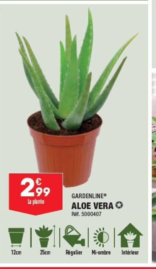 Promo GARDENLINE® ALOE VERA chez ALDI