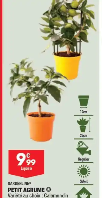ALDI PETIT AGRUME offre