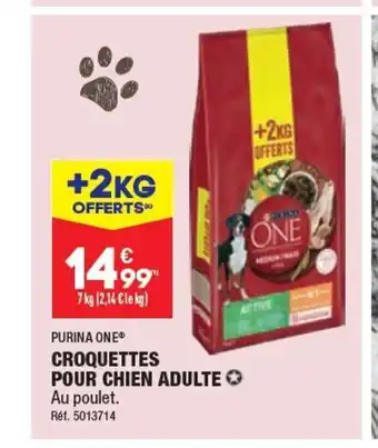 ALDI CROQUETTES POUR CHIEN ADULTE offre