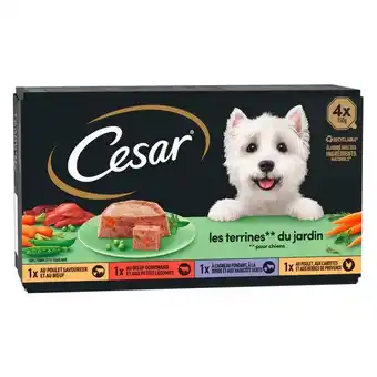 Carrefour Market Cesar pâtée pour chien offre