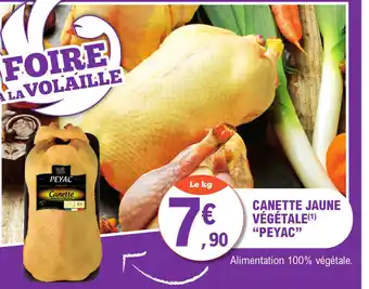 E.Leclerc CANETTE JAUNE VÉGÉTALE offre