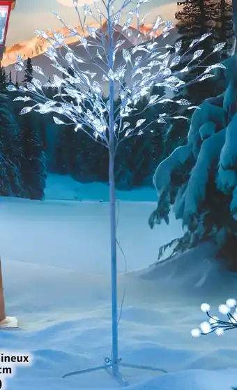 Lum white tree
