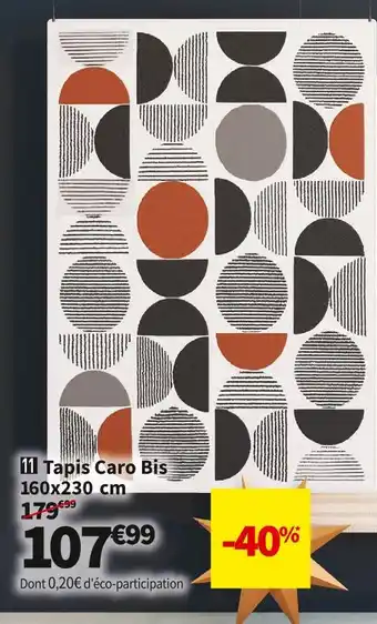 Conforama Tapis caro bis offre