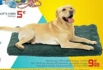 Gifi Matelas orthopédique chien offre