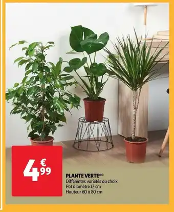 Auchan Plante verte offre
