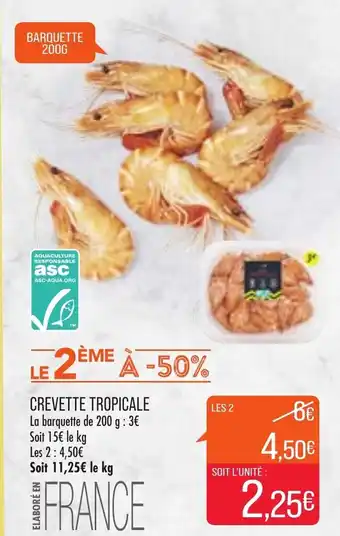 Match Crevette Tropicale offre