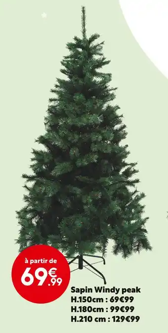 Maxi Bazar Sapin windy peak offre