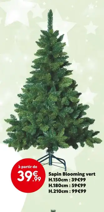 Maxi Bazar Sapin blooming vert offre