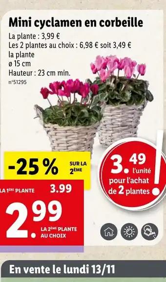Lidl Mini cyclamen en corbeille offre
