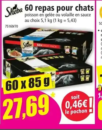 Norma Sheba 60 repas pour chats offre