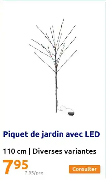 Action Piquet de jardin avec LED offre