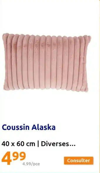 Action Coussin Alaska offre