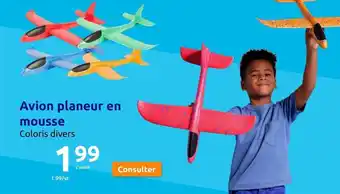 Action Avion planeur en mousse Coloris divers offre