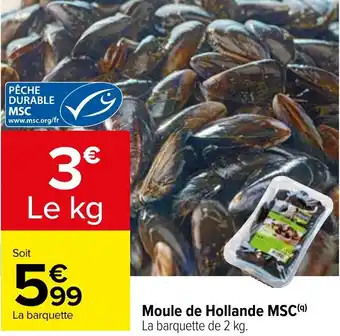 Carrefour Moule de Hollande MSC(9) offre