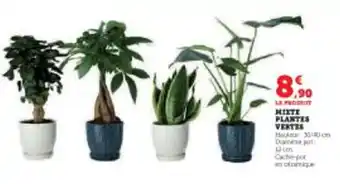 Super U MIXTE PLANTES VERTES offre