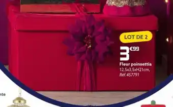 Gifi Fleur poinsettia offre