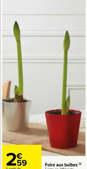 Carrefour Market Foire aux bulbes (¹) offre