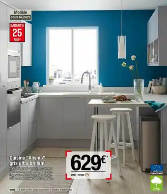 Brico Dépôt Cuisine "alisma" Gris Ultra Brillant offre