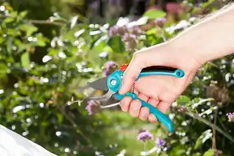 Brico Cash Sécateur à lame franche gardena 8854-20 - classic b/s - ø20mm offre