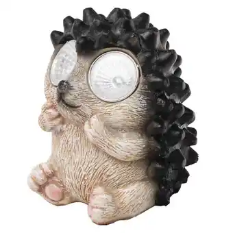 Bricorama Hérisson solaire 2 led blanches offre