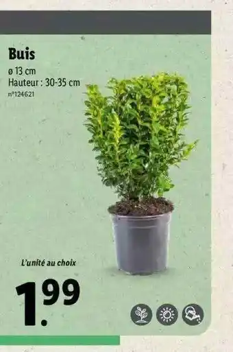 Lidl Buis offre