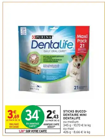 Dentalife sticks bucco-dentaire mini