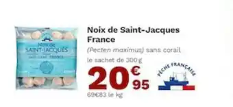 Picard Noix De Saint-jacques France offre