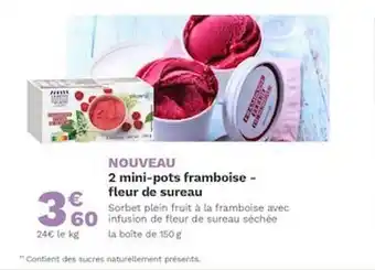 Picard 2 Mini-pots Framboise Fleur De Sureau offre