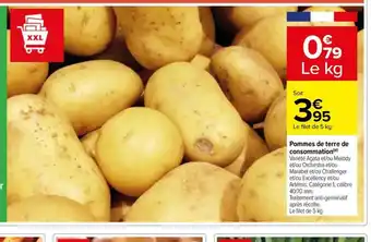 Pommes de terre de consommation