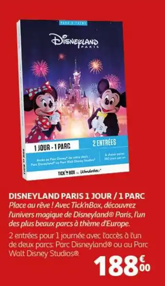 Auchan DISNEYLAND PARIS 1 JOUR/1 PARC offre