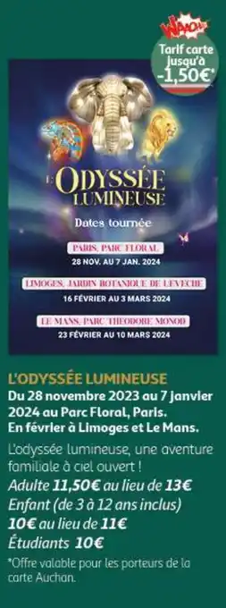 Auchan L'ODYSSÉE LUMINEUSE offre