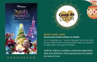 Auchan DISNEYLAND, PARIS Ouvert toute l'année à Marne-la-Vallée. offre