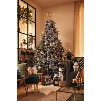 Auchan 2- cimier lune 26 cm actuel offre